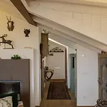 Ca' Del Sole 4* San Vito di Cadore